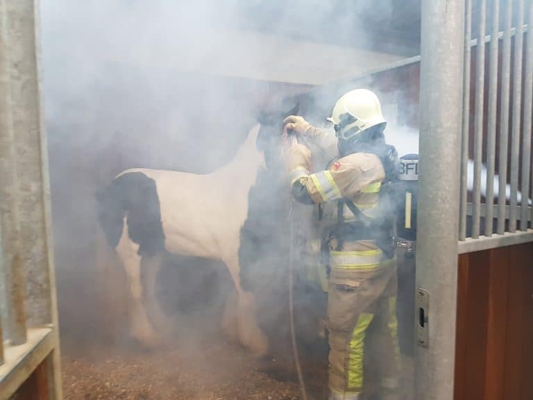 Brandweer training bij Horseteam
